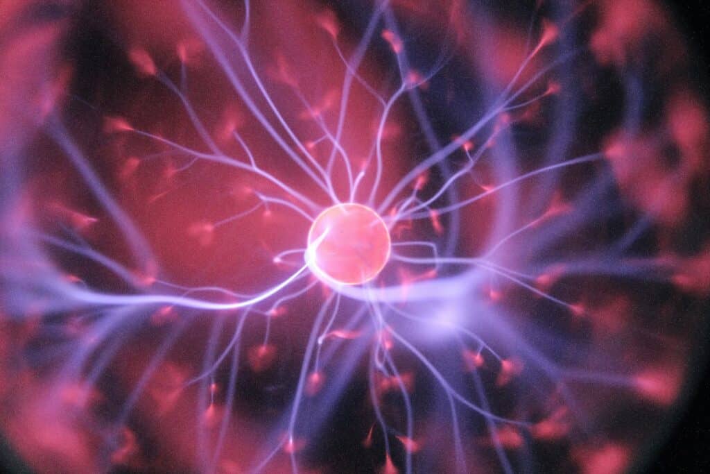 thc, shrooms, psilocybin, neurogenic properties
